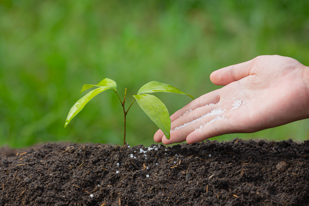 The Importance of Fertilizer Quality Improvement in Modern Agriculture